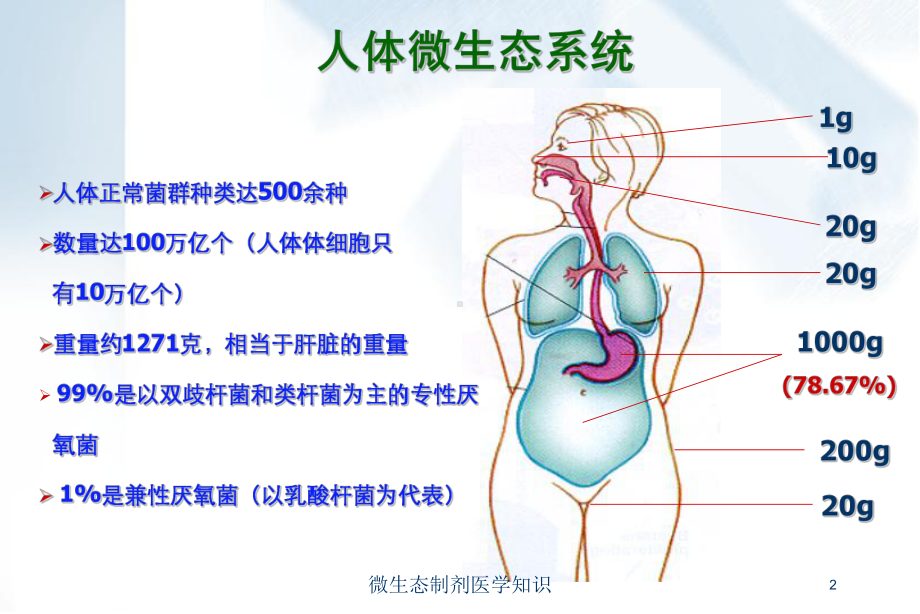 微生态制剂医学知识培训课件.ppt_第2页