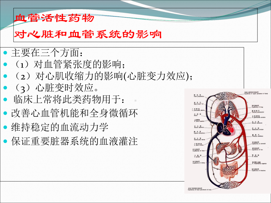 常用血管活性药物在ICU的应用详解课件.ppt_第3页