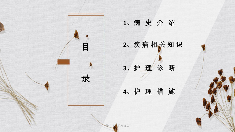 慢乙肝的护理查房课件.ppt_第2页