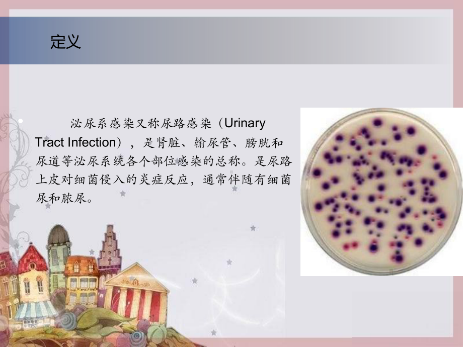 尿脓毒血症培训课件.ppt_第3页