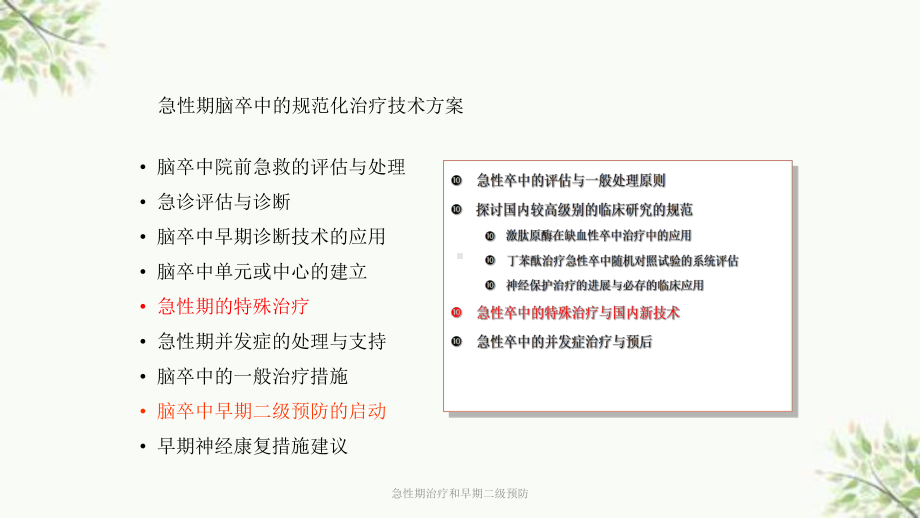 急性期治疗和早期二级预防课件.ppt_第2页