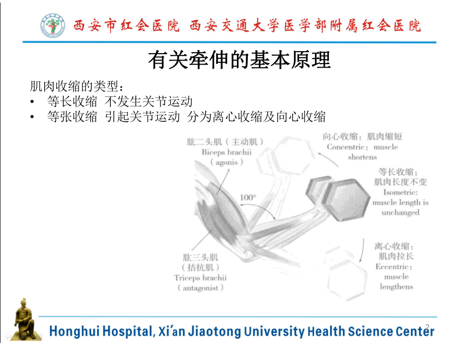 易化牵伸技术在骨科疾病中的应用课件.ppt_第2页