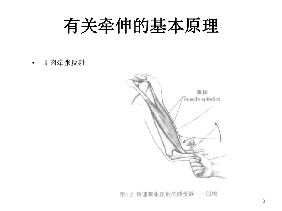 易化牵伸技术在骨科疾病中的应用课件.ppt_第3页