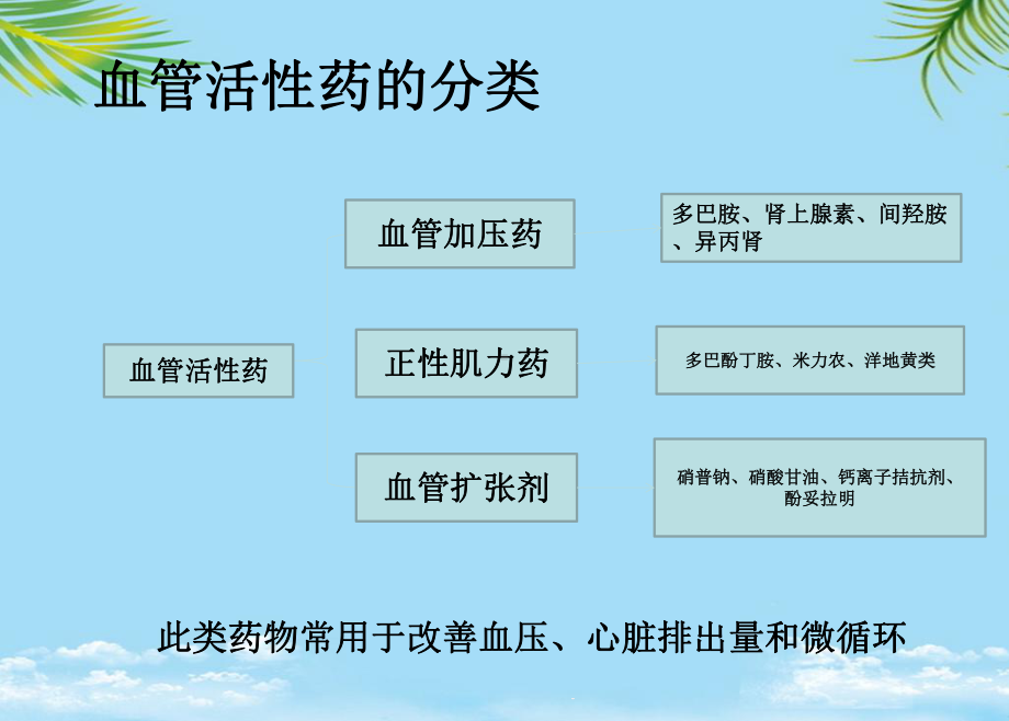 教培用血管活性药物的应用护理课件.ppt_第2页