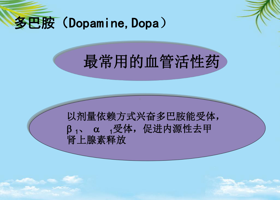 教培用血管活性药物的应用护理课件.ppt_第3页