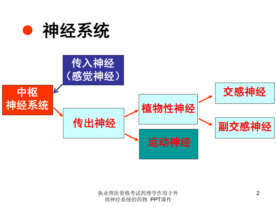 执业兽医资格考试药理学作用于外周神经系统的药物-课件.ppt_第2页