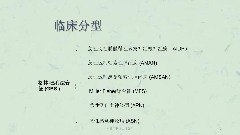 格林巴利综合征分型课件.ppt_第3页