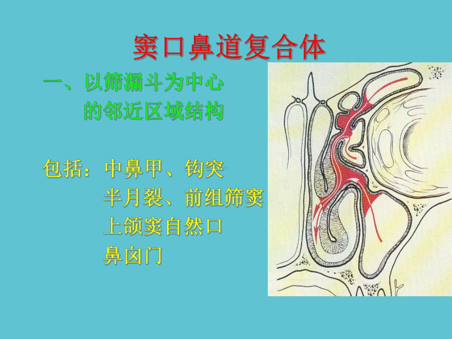 授课用-鼻腔鼻窦解剖变异课件.ppt_第3页