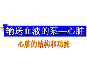 心脏基础护理课件.ppt