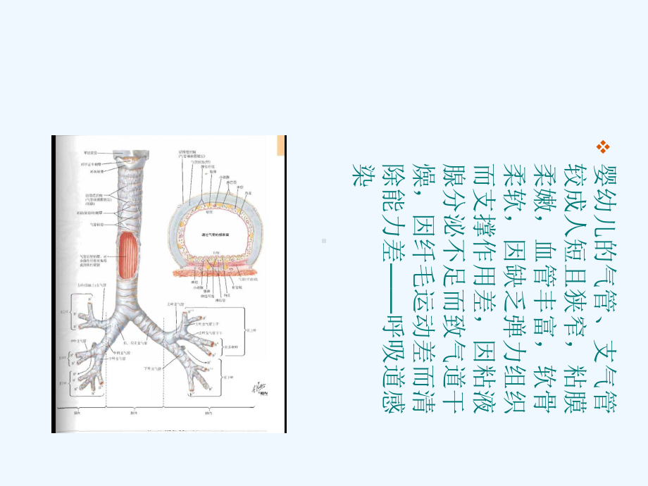 新生儿吸入性肺炎X线诊断课件.ppt_第3页