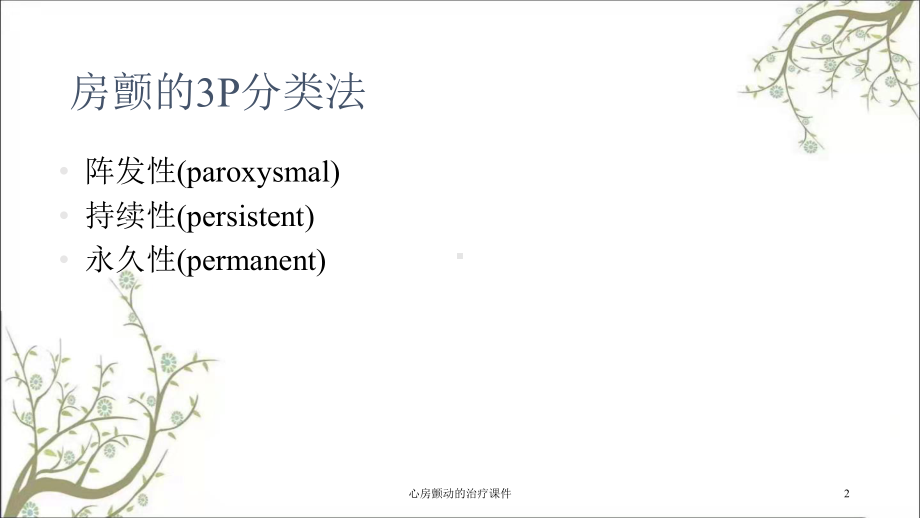 心房颤动的治疗课件.ppt_第2页