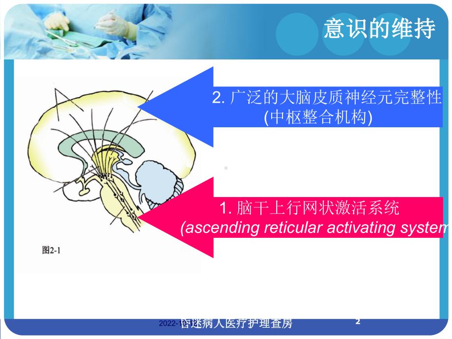 昏迷病人医疗护理查房培训课件.ppt_第2页