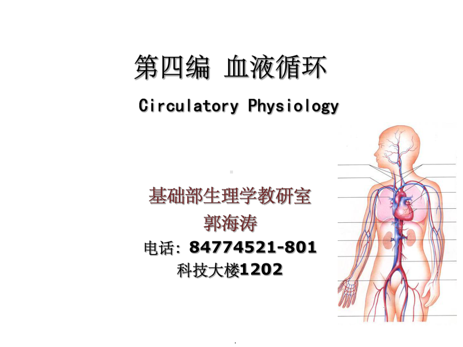 心血管功能的调节课件-2.ppt_第1页