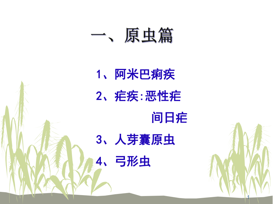 常见寄生虫病课件.ppt_第1页