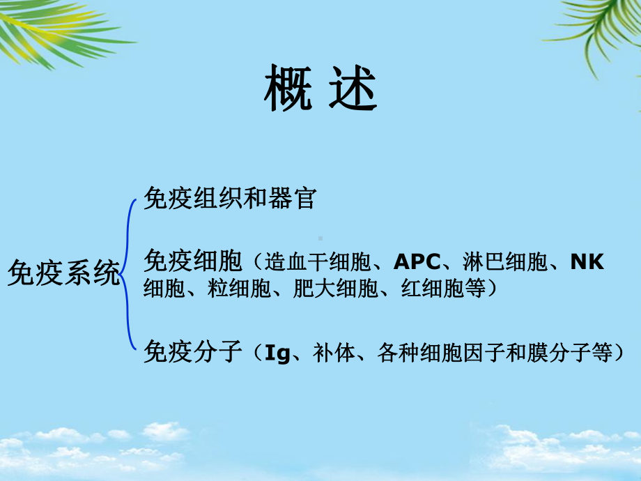 教培用药理学免疫器官和组织课件.ppt_第2页