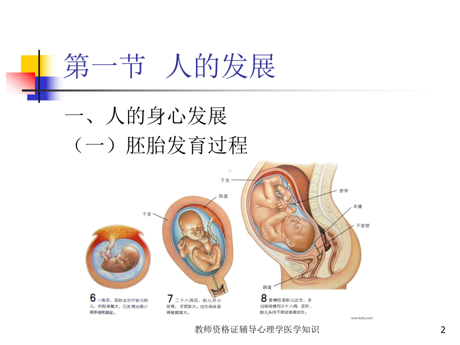 教师资格证辅导心理学医学知识培训课件.ppt_第2页