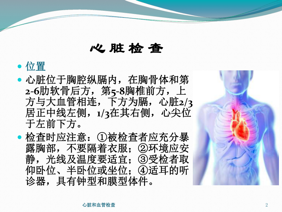 心脏和血管检查培训课件.ppt_第2页