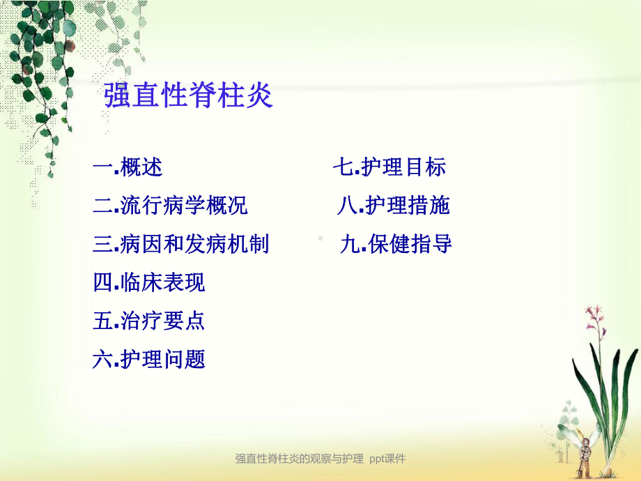 强直性脊柱炎的观察与护理-课件.ppt_第2页