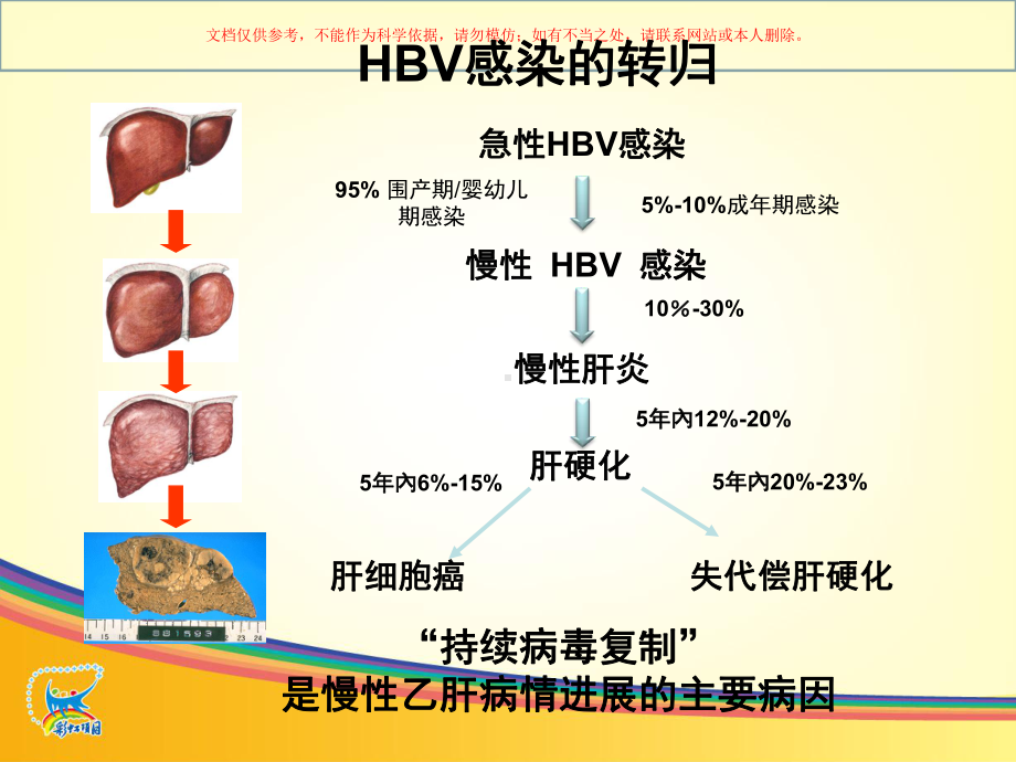 慢性乙型肝炎诊疗规范课件.ppt_第3页