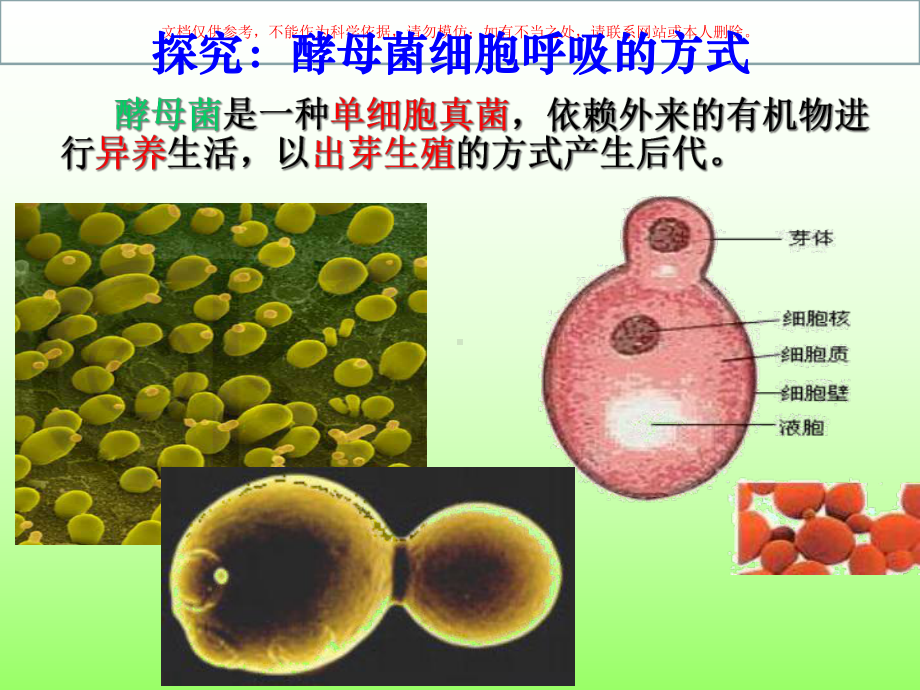 探究酵母菌细胞呼吸的方式实验培训课件.ppt_第3页