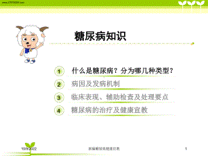 新编糖尿病健康宣教培训课件.ppt