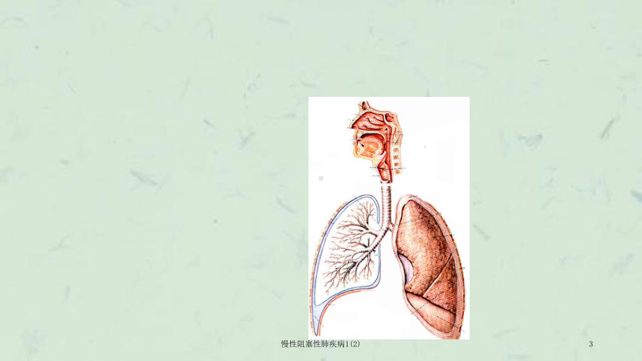 慢性阻塞性肺疾病1课件.ppt_第3页