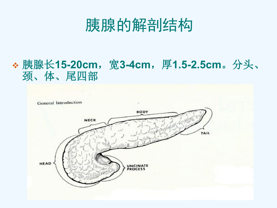 新生讲课重症胰腺炎治疗及护理课件.ppt_第3页