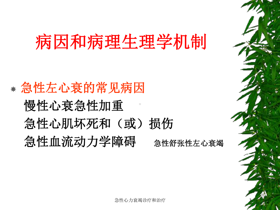 急性心力衰竭诊疗和治疗培训课件.ppt_第3页