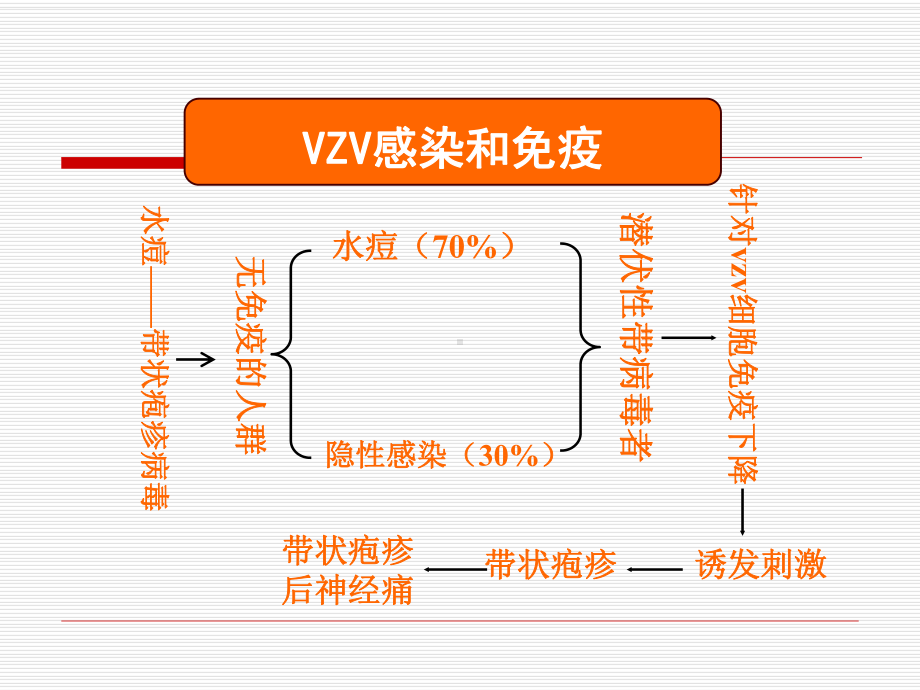 带状疱疹后神经痛的治疗方法课件.ppt_第3页