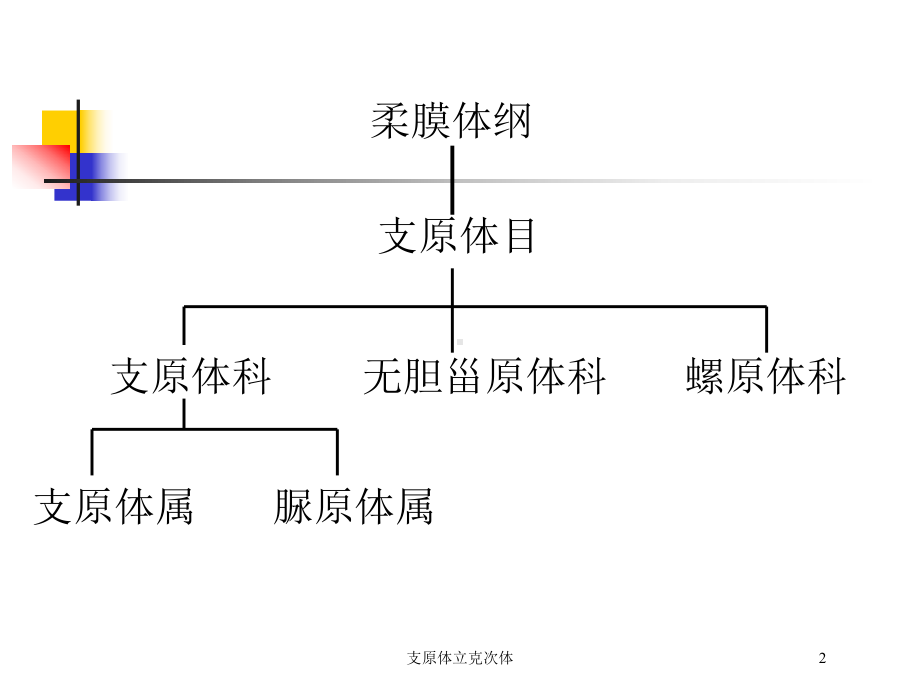 支原体立克次体培训课件.ppt_第2页