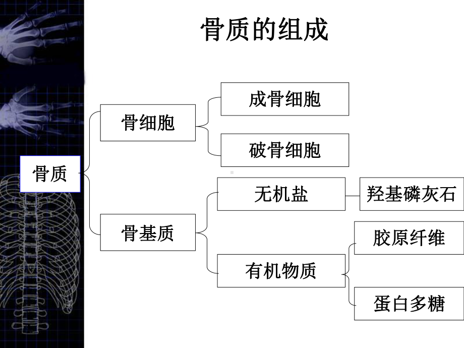 核医学第12章骨显像课件.ppt_第2页