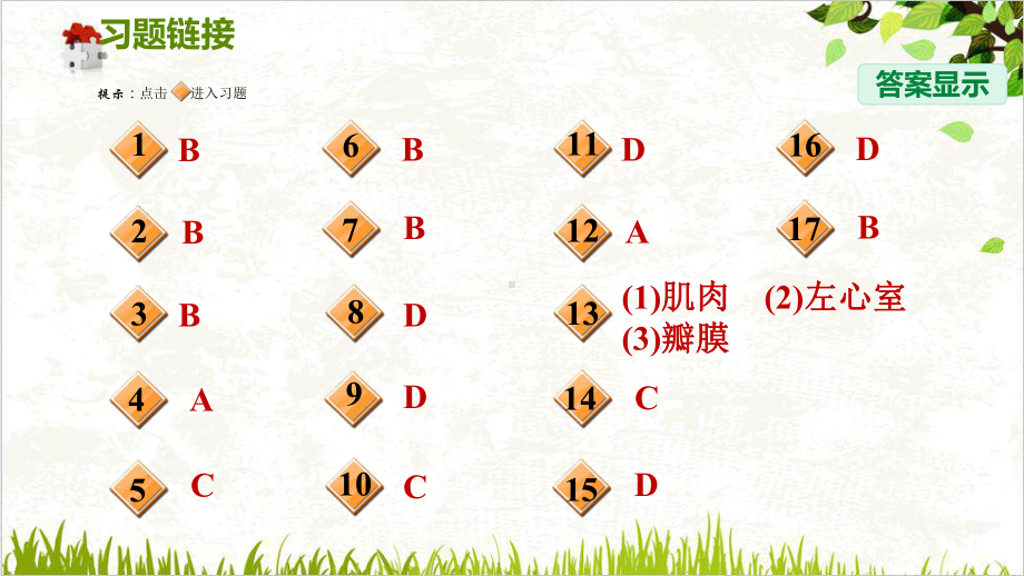 心脏和血管—浙教版九级科学上册习题课件-2.ppt_第2页