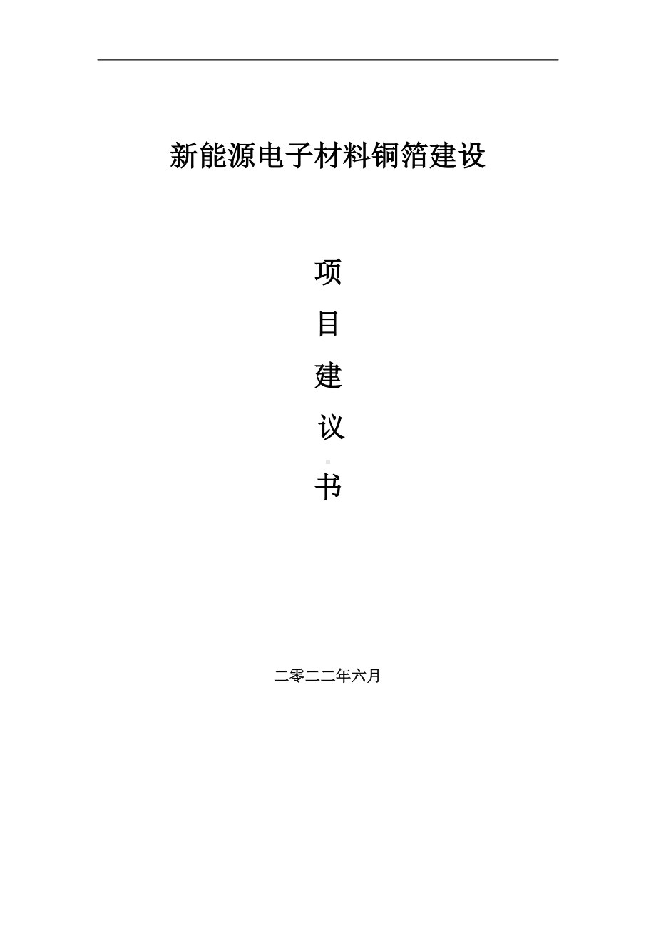 新能源电子材料铜箔项目建议书（写作模板）.doc_第1页