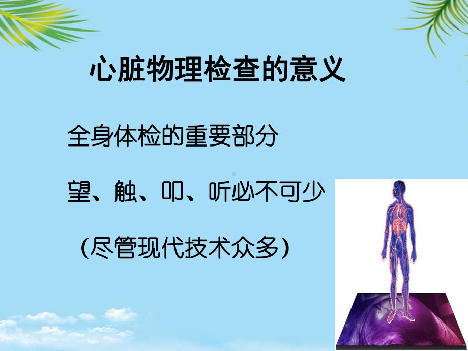 教培用诊断学心脏检查课件.ppt_第2页