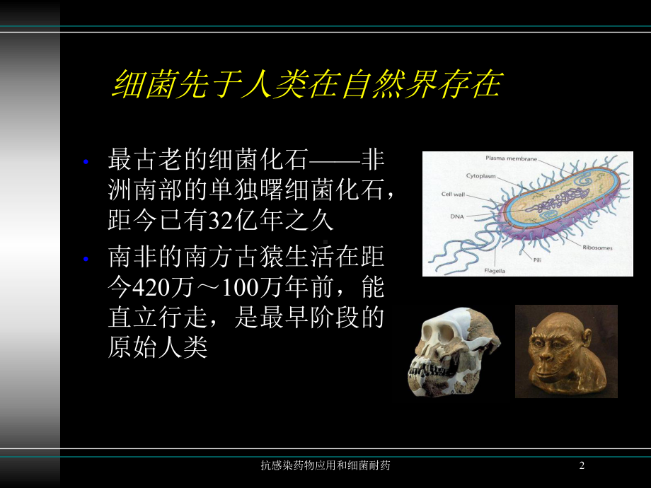 抗感染药物应用和细菌耐药培训课件.ppt_第2页