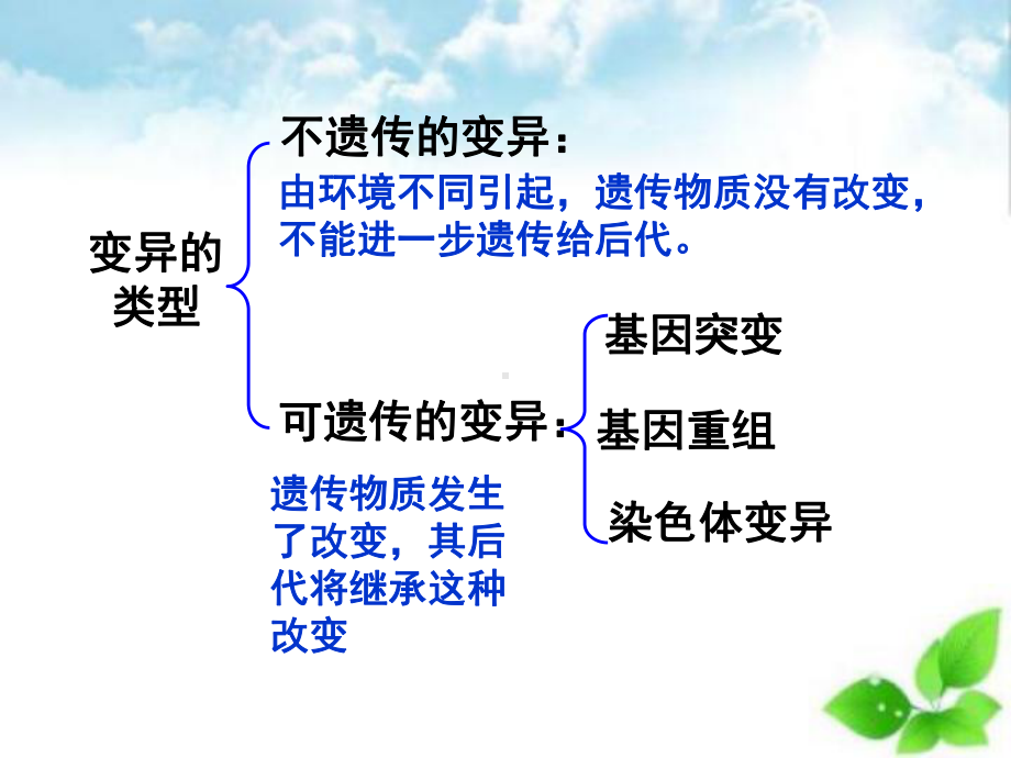 染色体变异课件-2.ppt_第1页