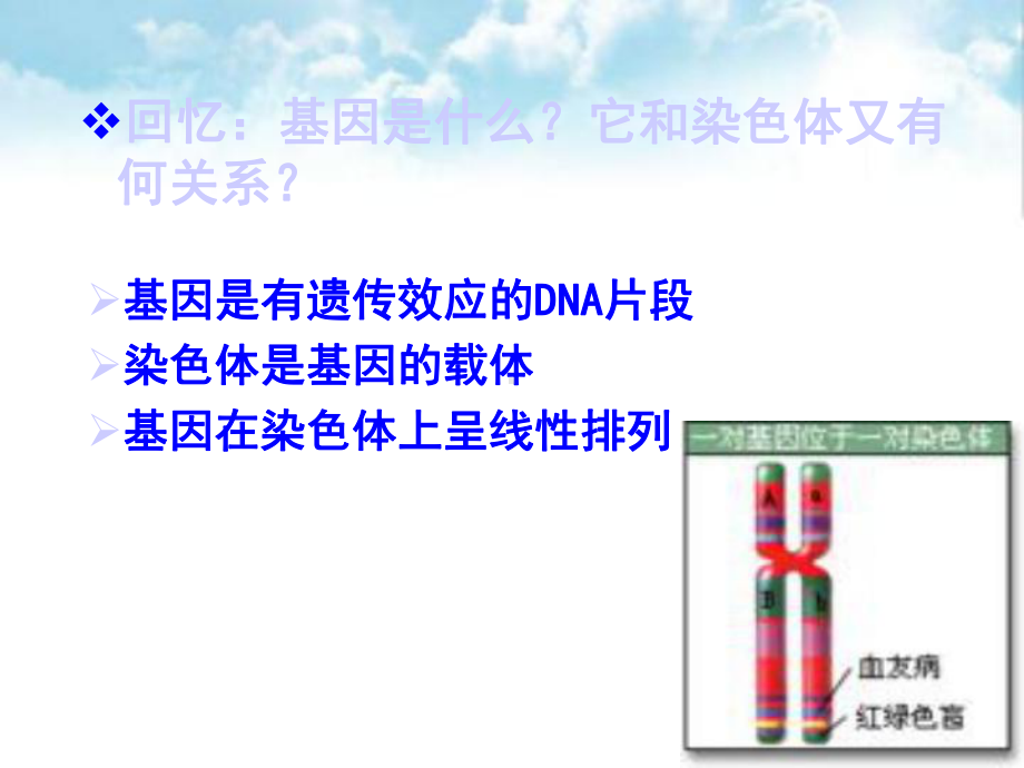 染色体变异课件-2.ppt_第3页