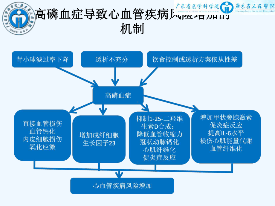 新型磷结合剂在慢性肾脏病中的应用课件.ppt_第3页