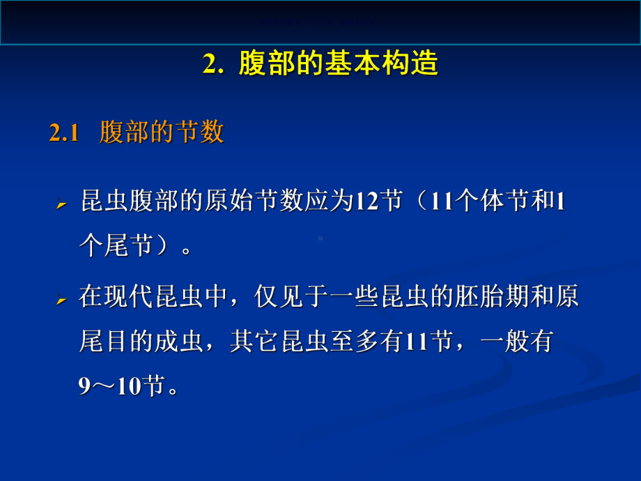 昆虫的腹部医学宣教课件.ppt_第3页