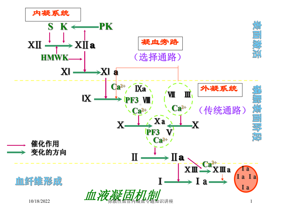 弥散性血管内凝血专题知识讲座培训课件.ppt_第1页