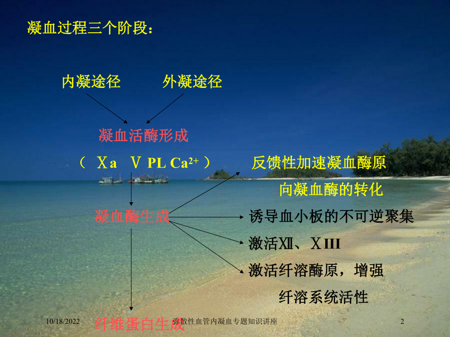 弥散性血管内凝血专题知识讲座培训课件.ppt_第2页