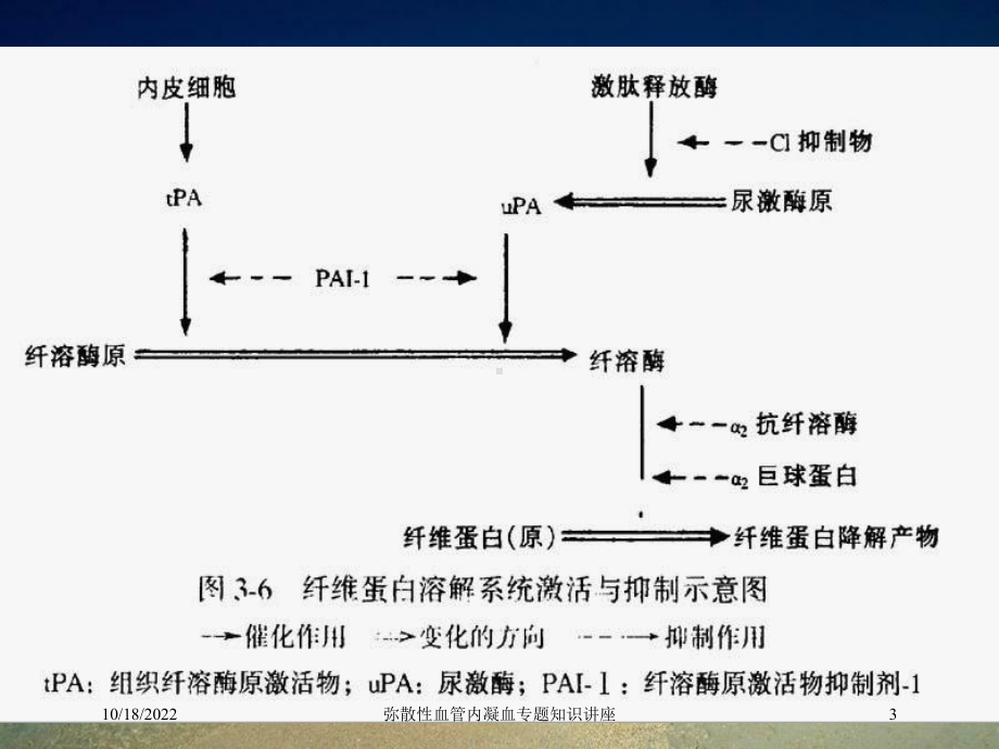 弥散性血管内凝血专题知识讲座培训课件.ppt_第3页