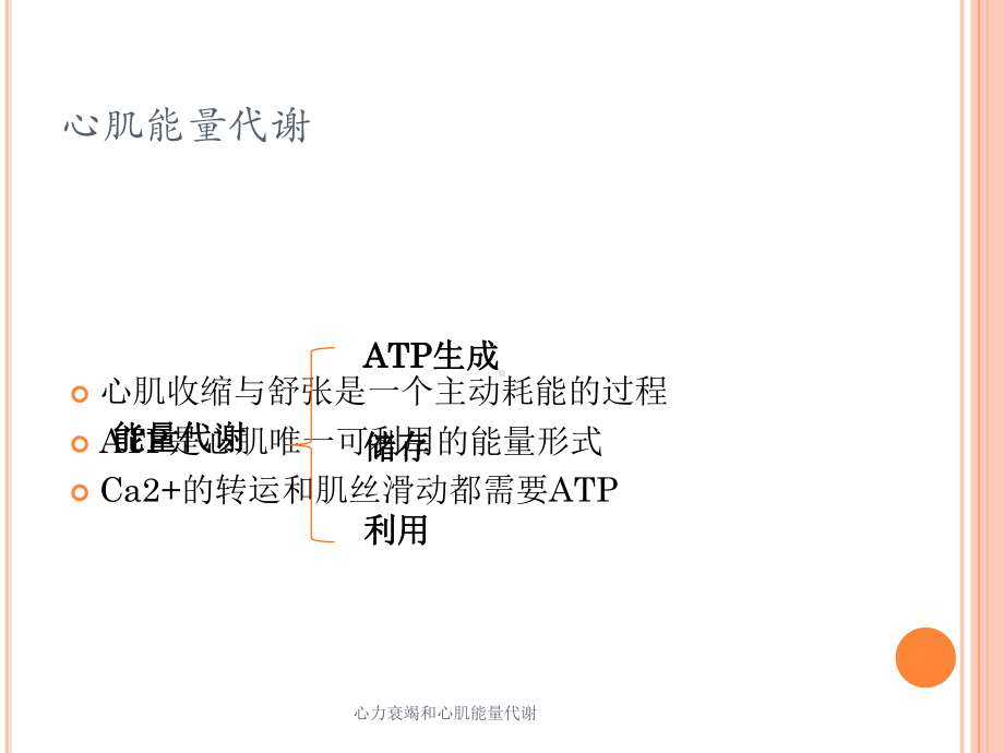 心力衰竭和心肌能量代谢培训课件.ppt_第3页