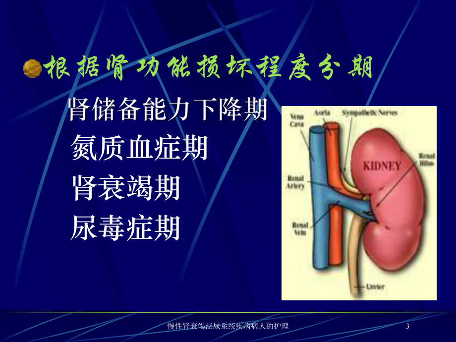 慢性肾衰竭泌尿系统疾病病人的护理培训课件.ppt_第3页