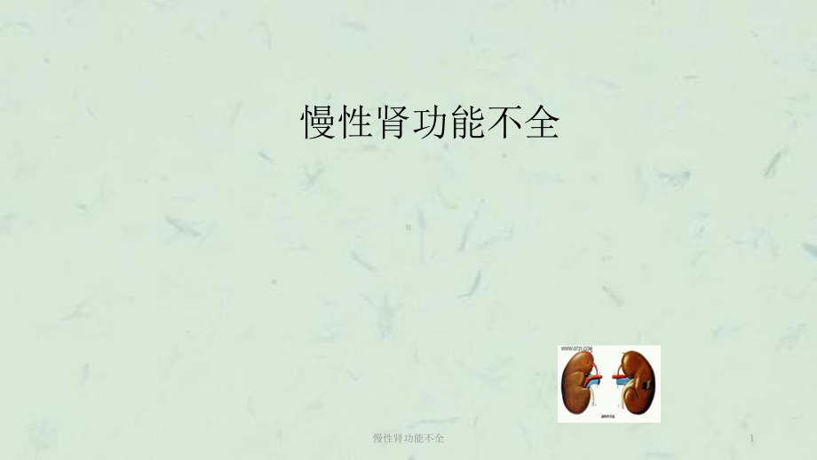 慢性肾功能不全课件.ppt_第1页