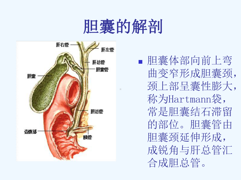 急性胆囊炎胆道引流管护理课件.ppt_第2页