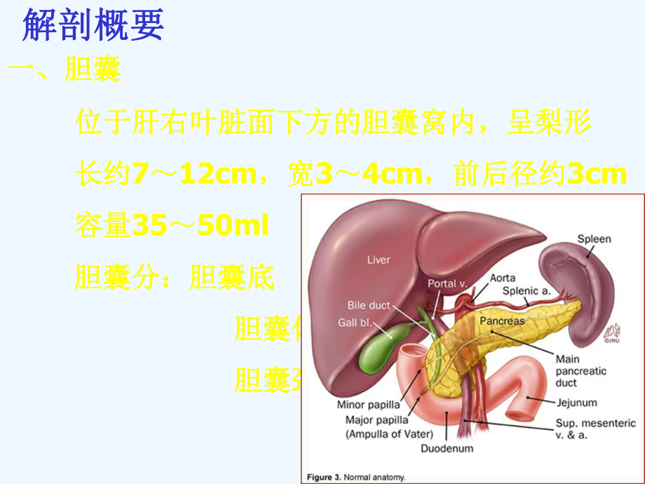 急性胆囊炎胆道引流管护理课件.ppt_第3页