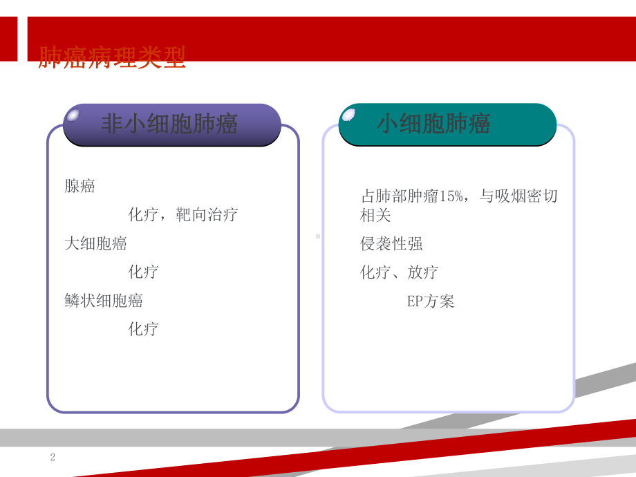 晚期肺癌常用化疗方案介绍课件.ppt_第2页