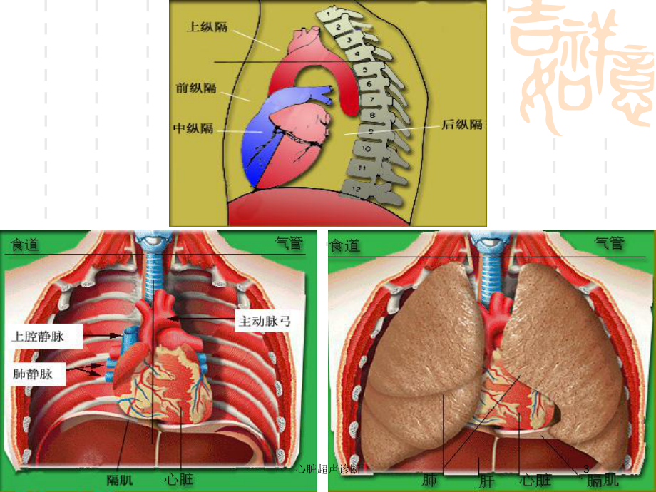 心脏超声诊断培训课件.ppt_第3页