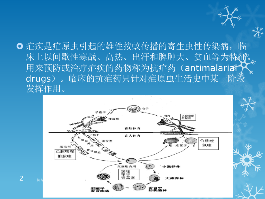 抗寄生虫病药培训课件.ppt_第2页